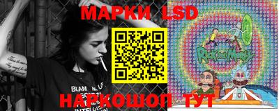 гашик Дубна
