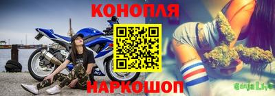 гашик Дубна