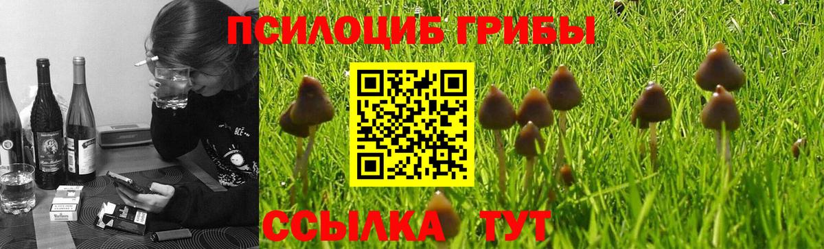 Псилоцибиновые грибы ЛСД  Псилоцибиновые грибы мицелий  Мирный  Вход с VPN 
